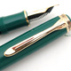 Pelikan Expo 2000 Nature Limited Edition | ペリカン